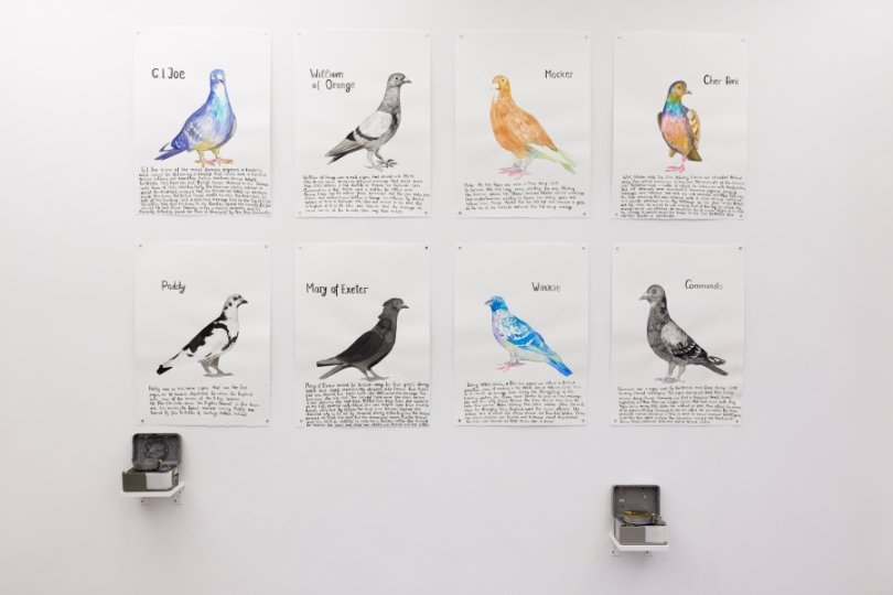 Anna Jermolaewa, Famous Pigeons, 2021, Courtesy the artist © Kunsthaus Bregenz, Anna Jermolaewa, Bildrecht, Wien, 2023, Foto: ERES Stiftung, Thomas Dashuber